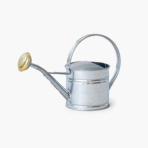 Galvanised Watering Can (1.5L)